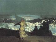 Winslow Homer A Summer Night (san39) Spain oil painting artist